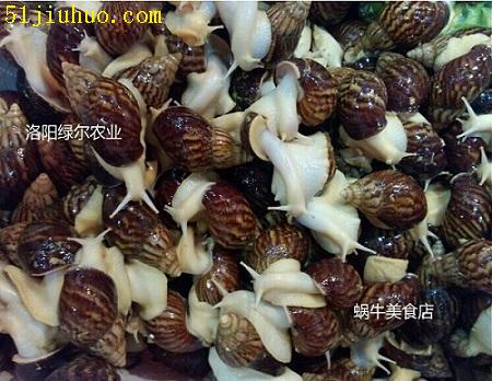 點(diǎn)擊查看大圖