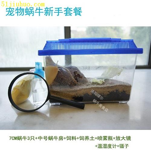點(diǎn)擊查看大圖