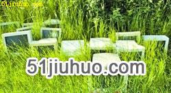 點擊查看大圖