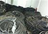 哈尔滨电线电缆回收高价回收通信电缆 特种电缆回收 防火电缆回收