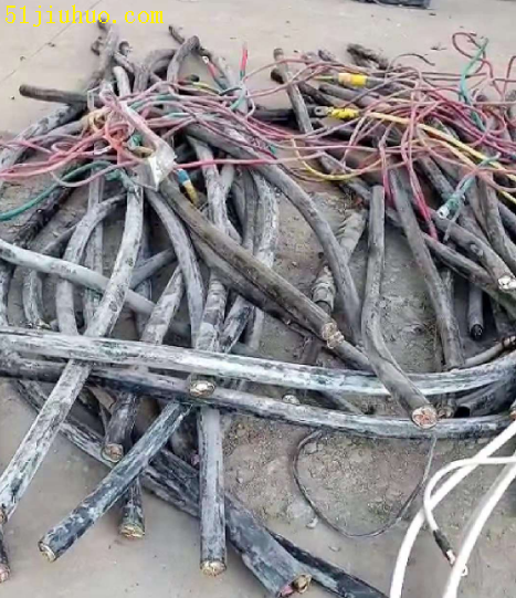點擊查看大圖