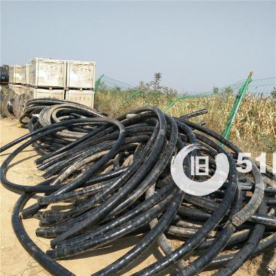 點擊查看大圖