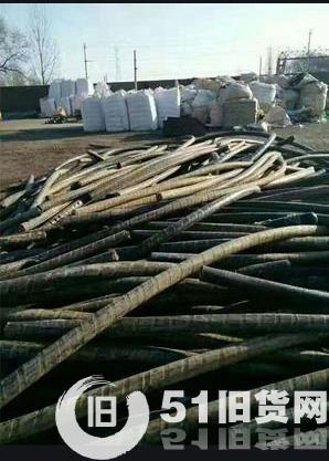 點擊查看大圖