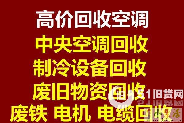 點擊查看大圖