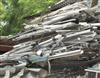 惠州大量收购废厂房、废铁废铝、金属物资、电线电缆