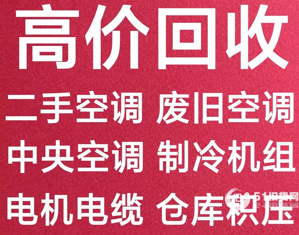點擊查看大圖