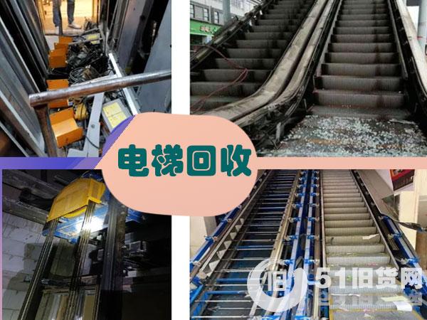 點擊查看大圖