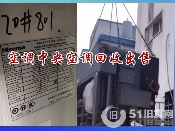 點擊查看大圖