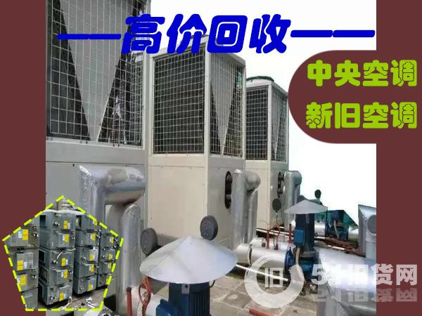 點擊查看大圖