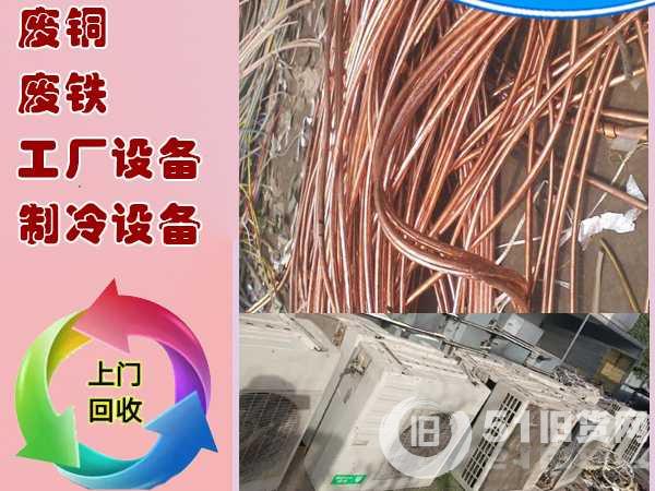 點擊查看大圖
