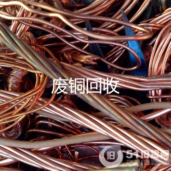 點擊查看大圖