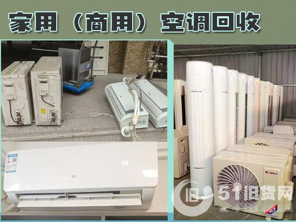 點擊查看大圖