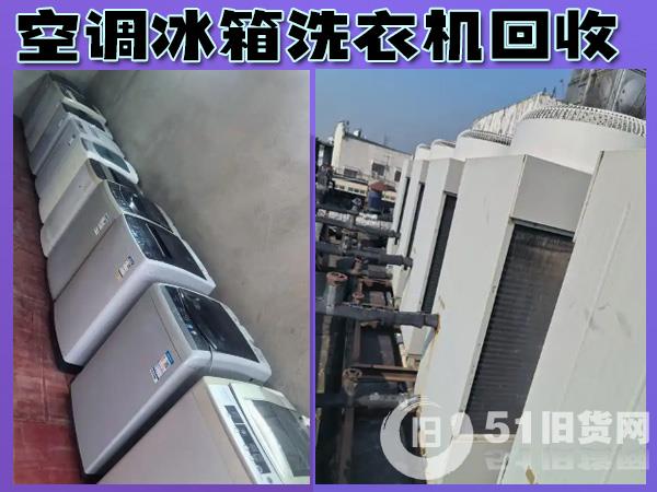 點擊查看大圖