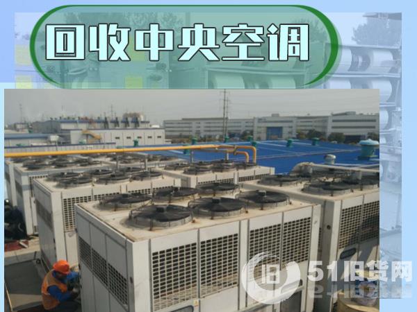點擊查看大圖