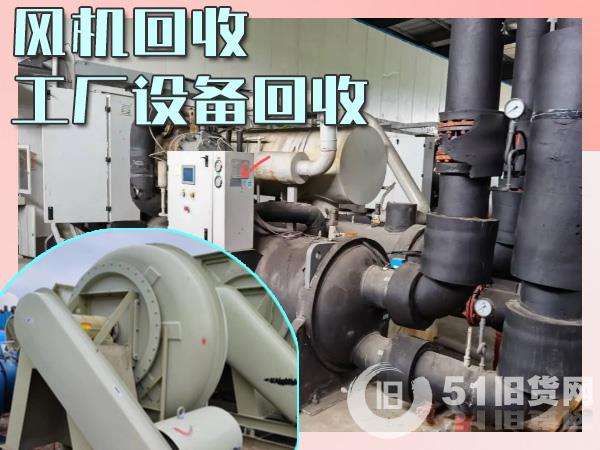 點擊查看大圖