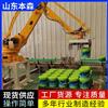 码垛机器人公司  微生物菌剂全自动码垛机械臂